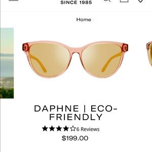 Revo sunglasses BRAND NEW-never worn, with case.